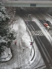 1618550_507694039352330_376255470_n