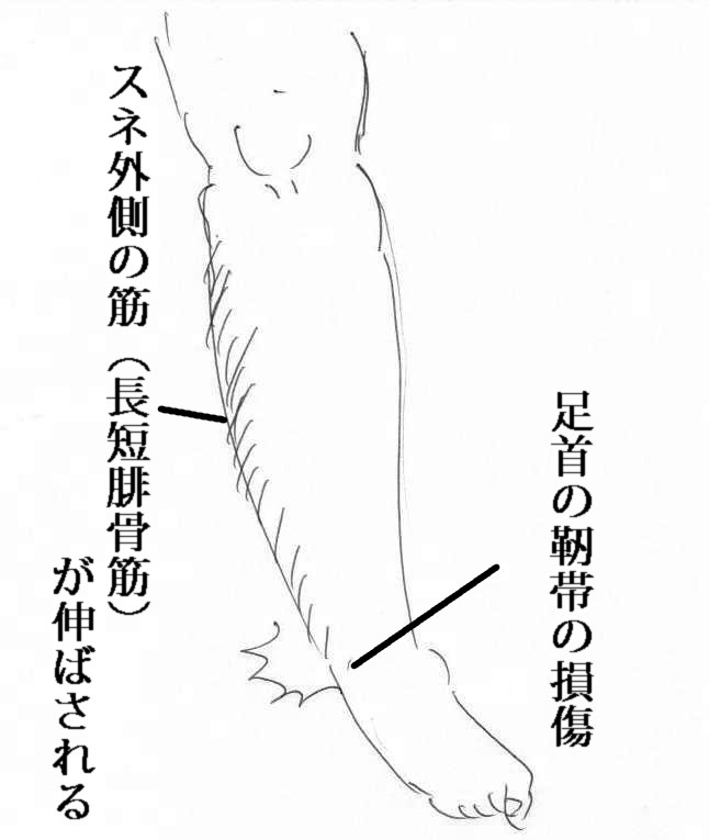 %e7%94%bb%e5%83%8f-01411