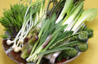 ブログ　春の食材