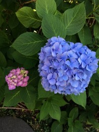 2017-06-04_11-15-06_780