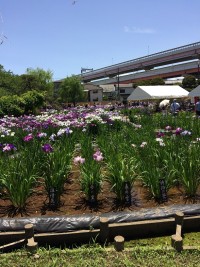 2017-06-04_12-04-33_739