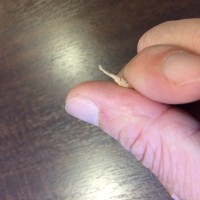 2017-09-15_12-54-41_484