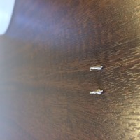 2017-09-15_12-58-45_347