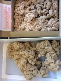 2017-09-15_13-01-52_192