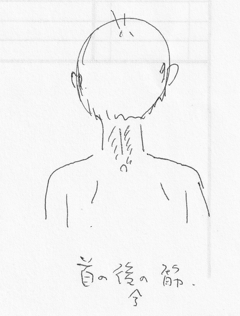 IMG_20210222_0001 - コピー - コピー (2)