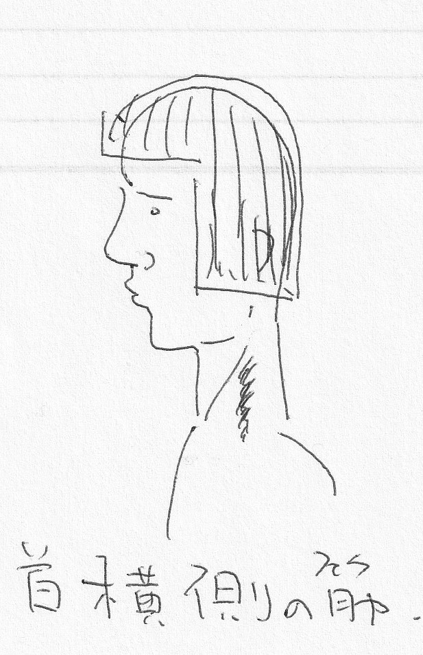 IMG_20210222_0001 - コピー - コピー