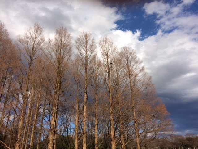 Gt-k-tOiQgexyg5gsThD_Q