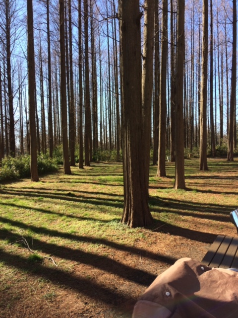 VQsDyASRTGi6P2Ff09ESUg