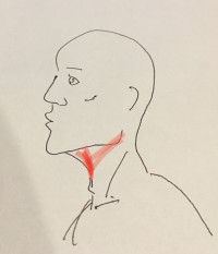 line_oa_chat_211001_170428