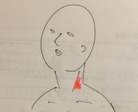 line_oa_chat_211119_124425