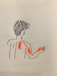 line_oa_chat_211119_124428