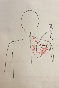 line_oa_chat_211224_172600