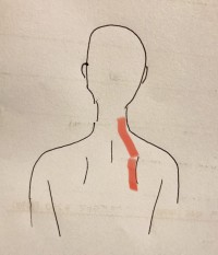 line_oa_chat_211224_173619