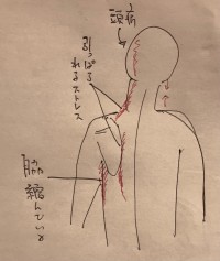 line_oa_chat_220427_183722