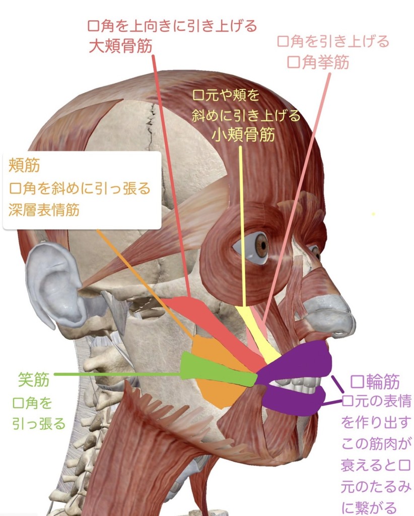 line_oa_chat_220610_145935