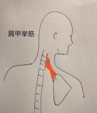 line_oa_chat_221216_162822