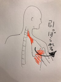 line_oa_chat_221216_163412